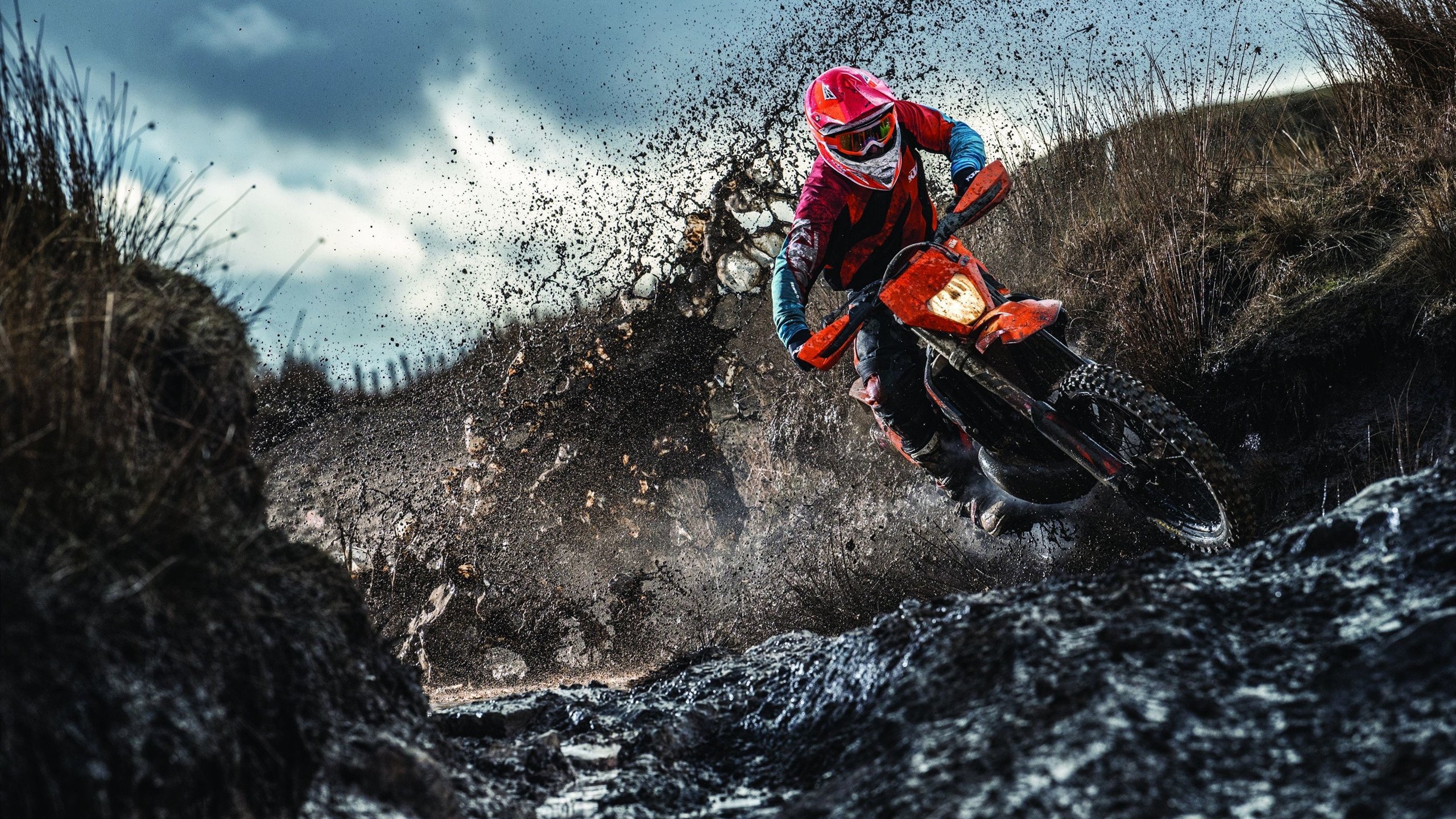 中立代表队B接力赛表现稳定获赞