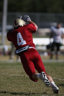 AIYOUXI.COM-校园足球支持学生裁判项目拓展多元职业通路，普通高校足球专业学生裁判能力的培养